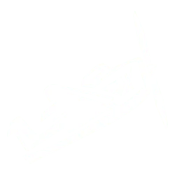 Aviator Mr Jones casino Play Aviator Mr Jones casino